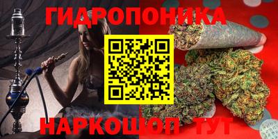 дживик Будённовск