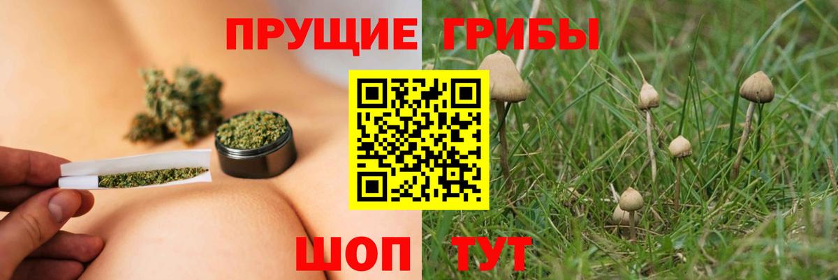 Псилоцибиновые грибы MAGIC MUSHROOMS  Галлюциногенные грибы ЛСД  Вход с VPN  Ртищево 